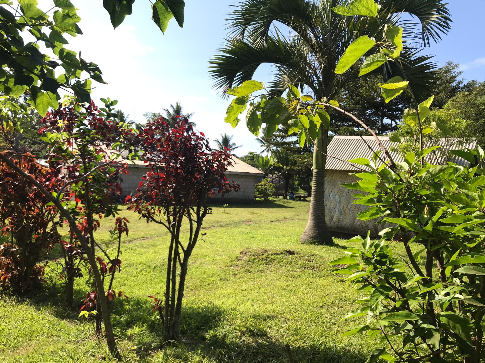 Green bungalow grounds at Tehituan